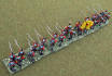 Line infantry with belgian shako (4)