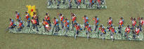 Line infantry with belgian shako (3)